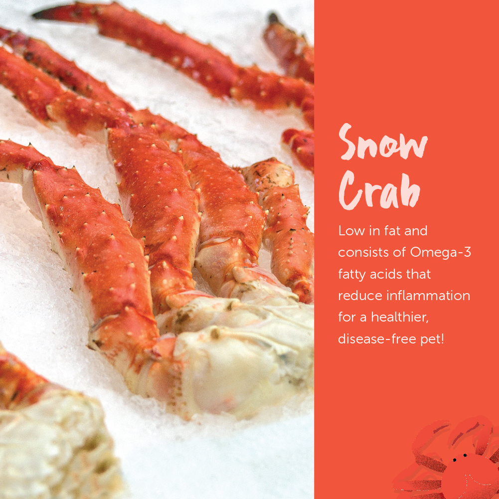 Loveabowl Cat 9.07kg Herring  Salmon and Atlantic Lobster Dry Cat Food image 7