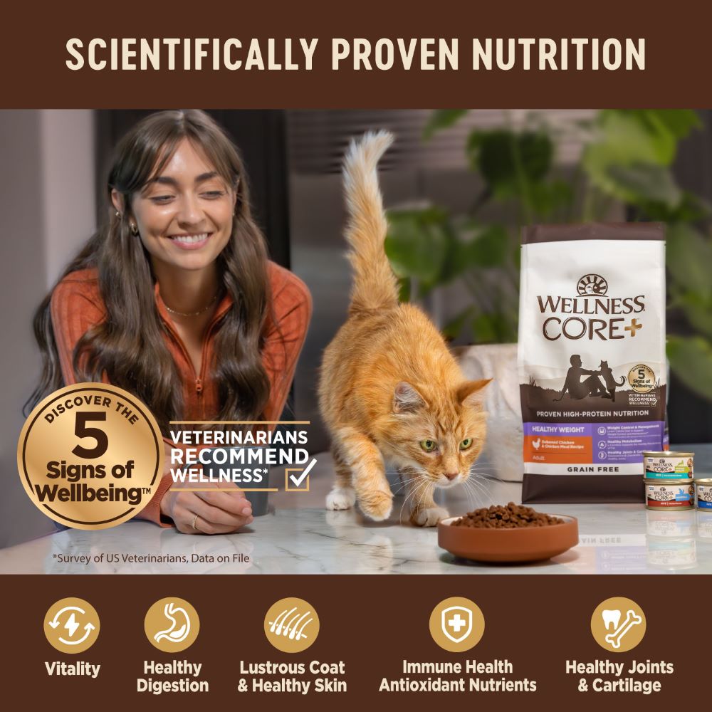Wellness CORE Cat 4.9kg (11lb) Digestive Health with Wholesome Grains Chicken Dry Cat Food image 2