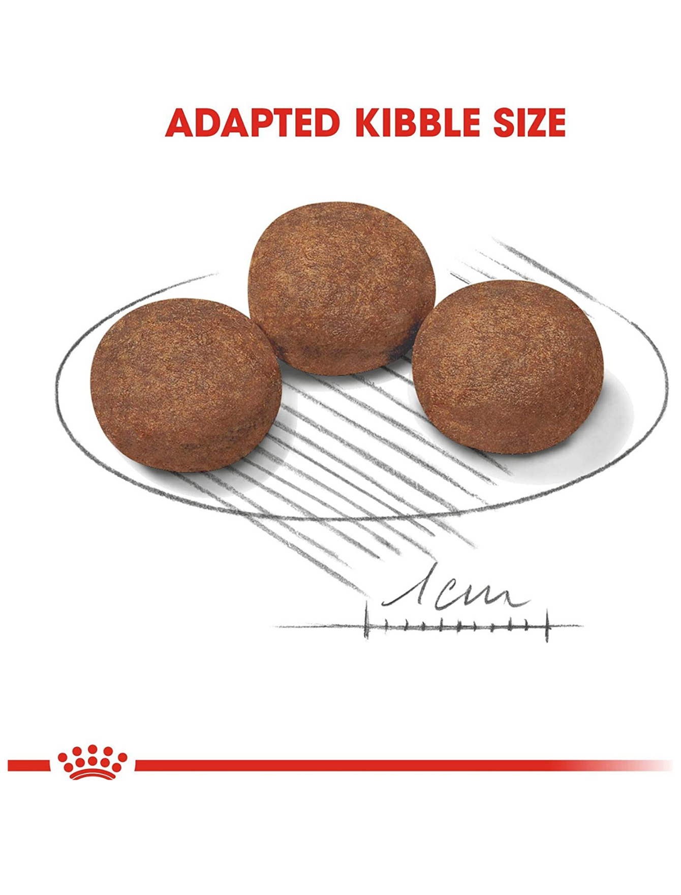 Royal Canin Dog 10kg Medium Puppy Dry Dog Food image 4