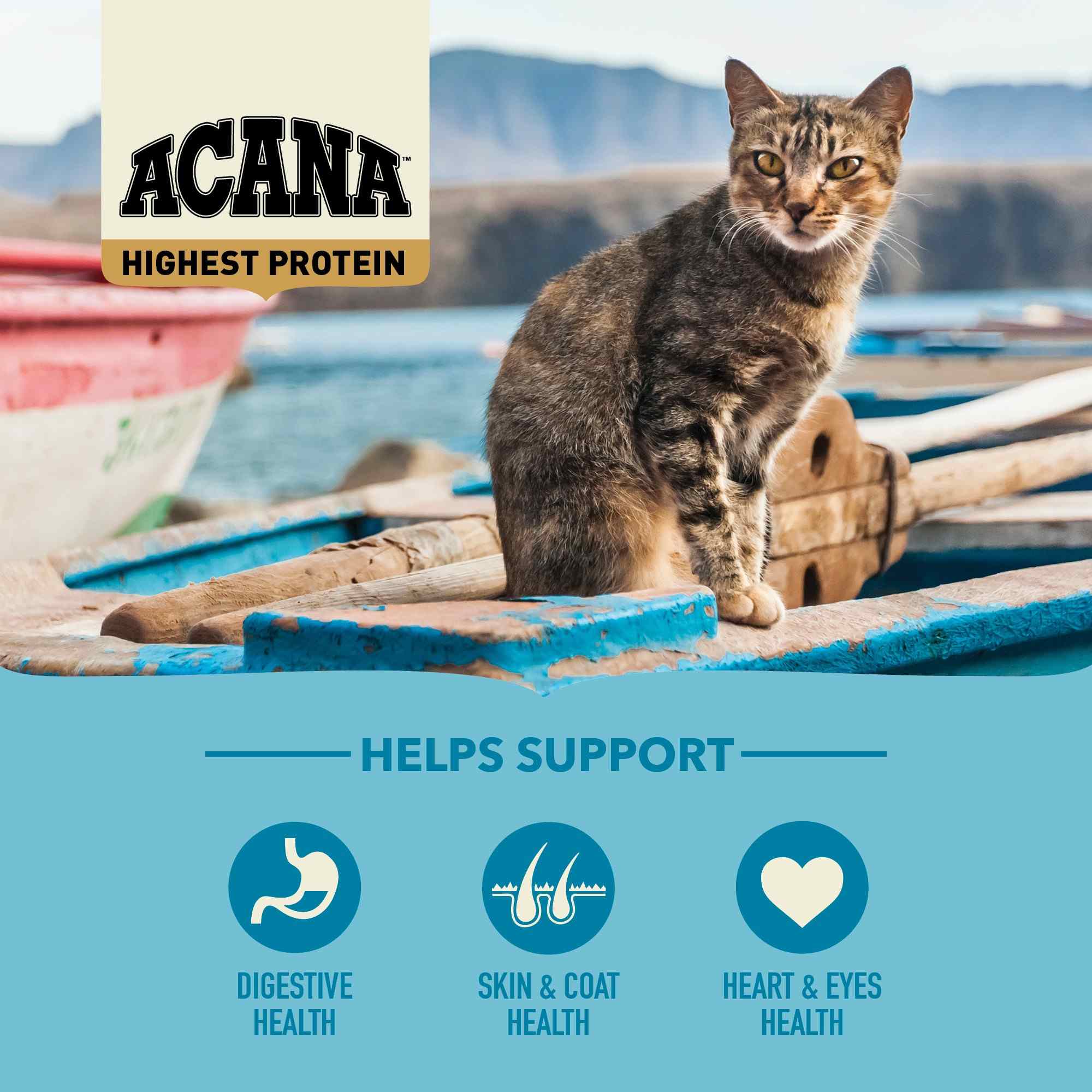 Acana Cat Regionals 340g Pacifica Dry Cat Food image 5