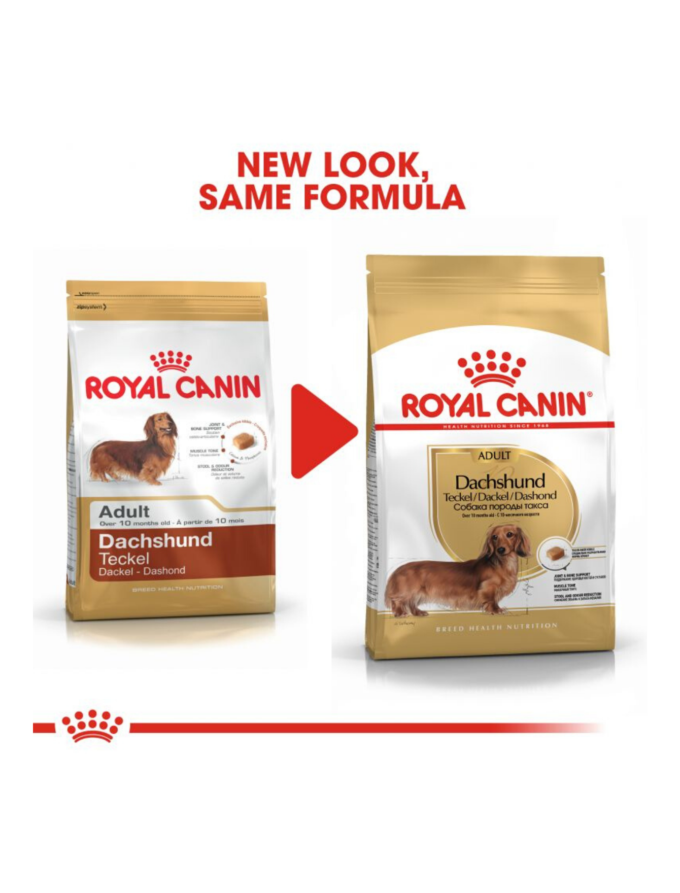 Royal Canin Dog 1.5kg Adult Dachshund Dry Dog Food image 3
