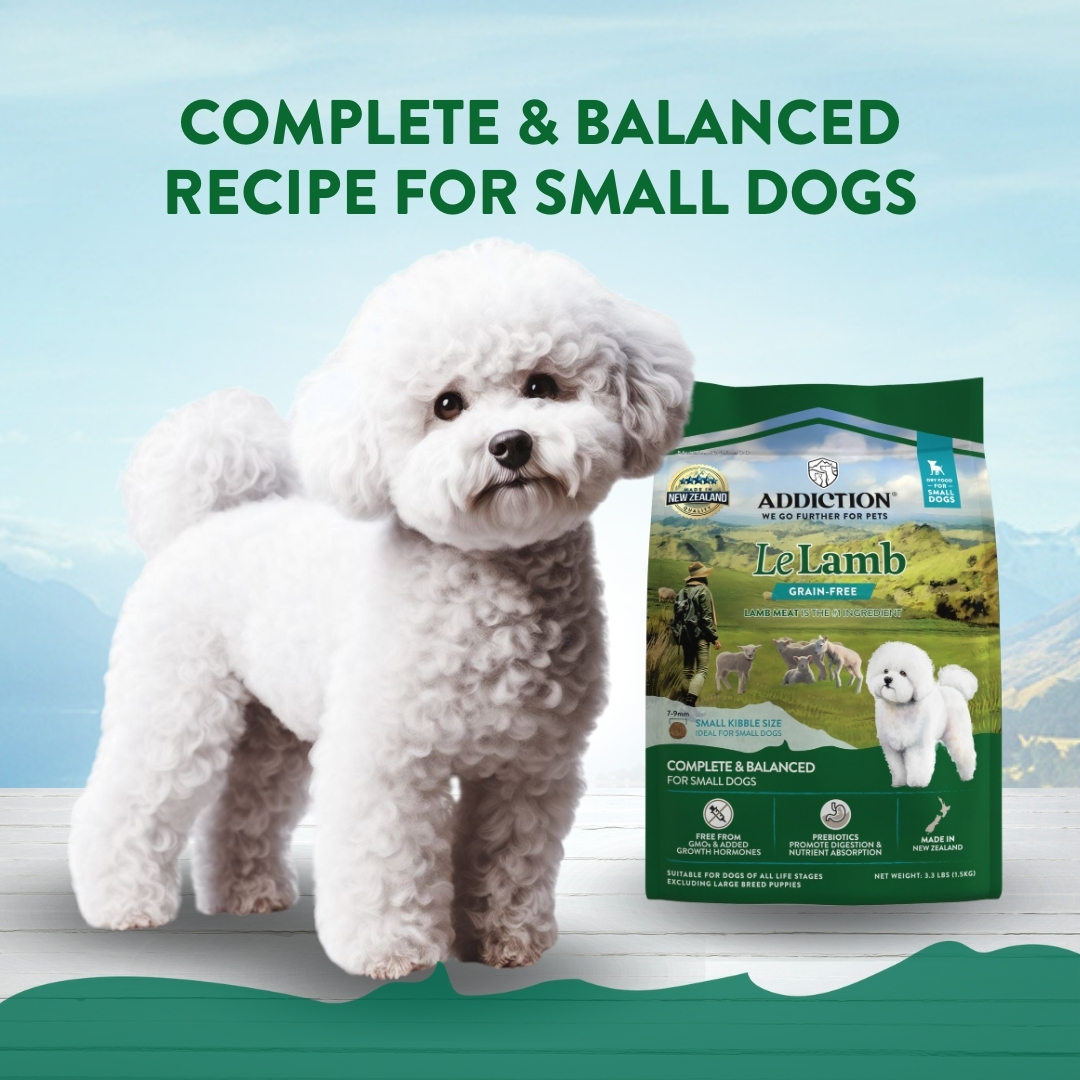 Addiction Dog 1.5kg Small Breed Le Lamb Dry Dog Food image 2