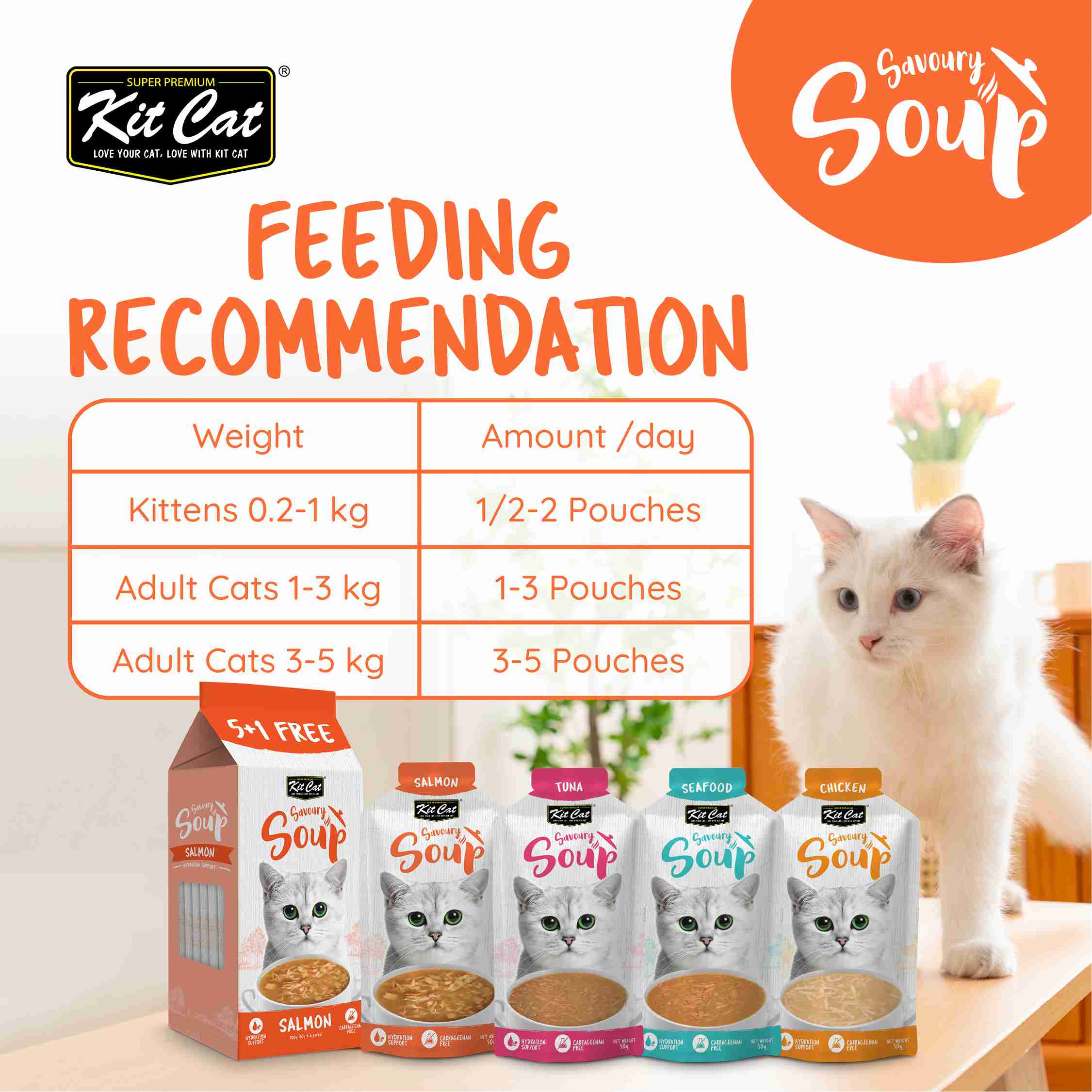 Kit Cat Savoury Soup 50gX6 Pouches Chicken Wet Cat Food image 5