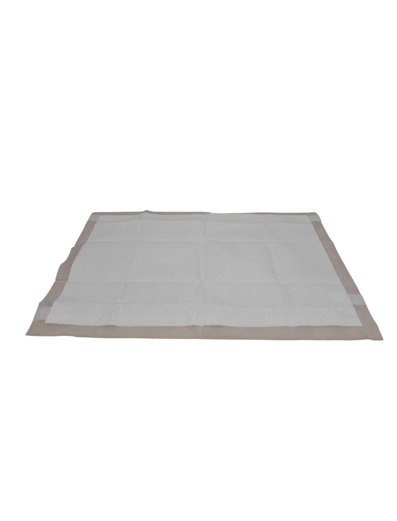Absorb Plus 25pcs (Large) 60x90cm Antibacterial Training Pee Pad image 2