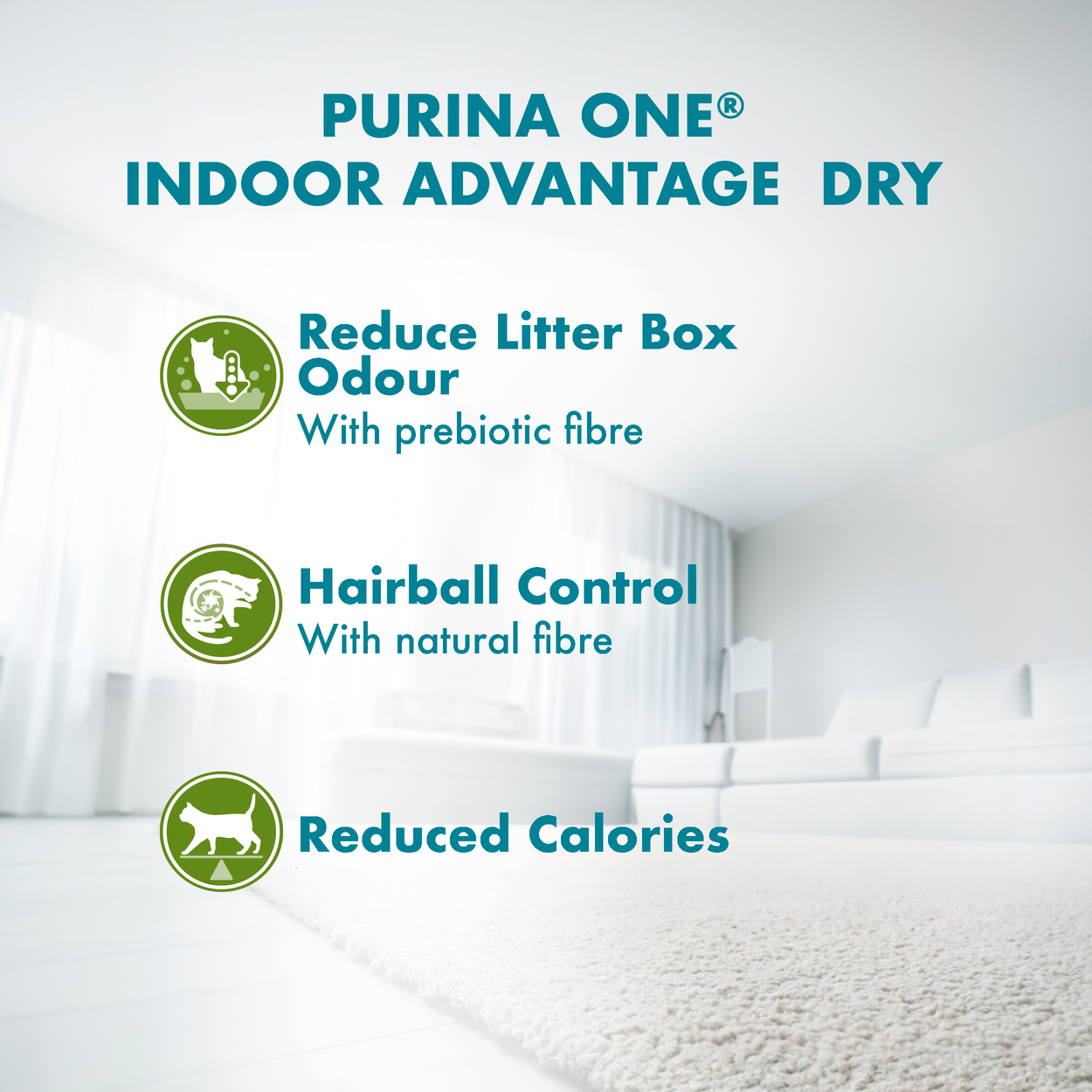 PURINA ONE Cat 1.2kg Indoor Advantage Chicken Dry Cat Food image 4