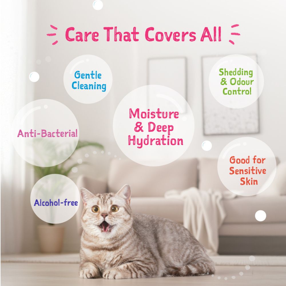 Loveabowl Cat Clean-A-Cat 10pcs Original Cica Pet Glove image 6