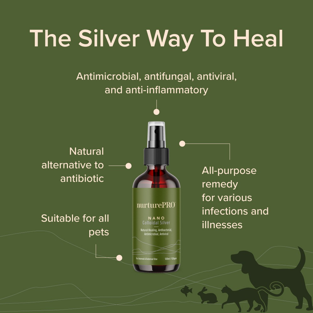 Nurture Pro Nano Colloidal Silver Spray 120ml image 4