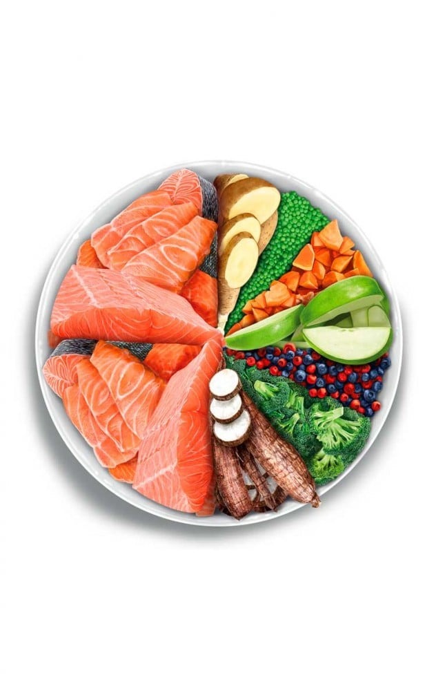 Amanova Dog 2kg Adult Sensitive Salmon Deluxe Dry Dog Food image 2