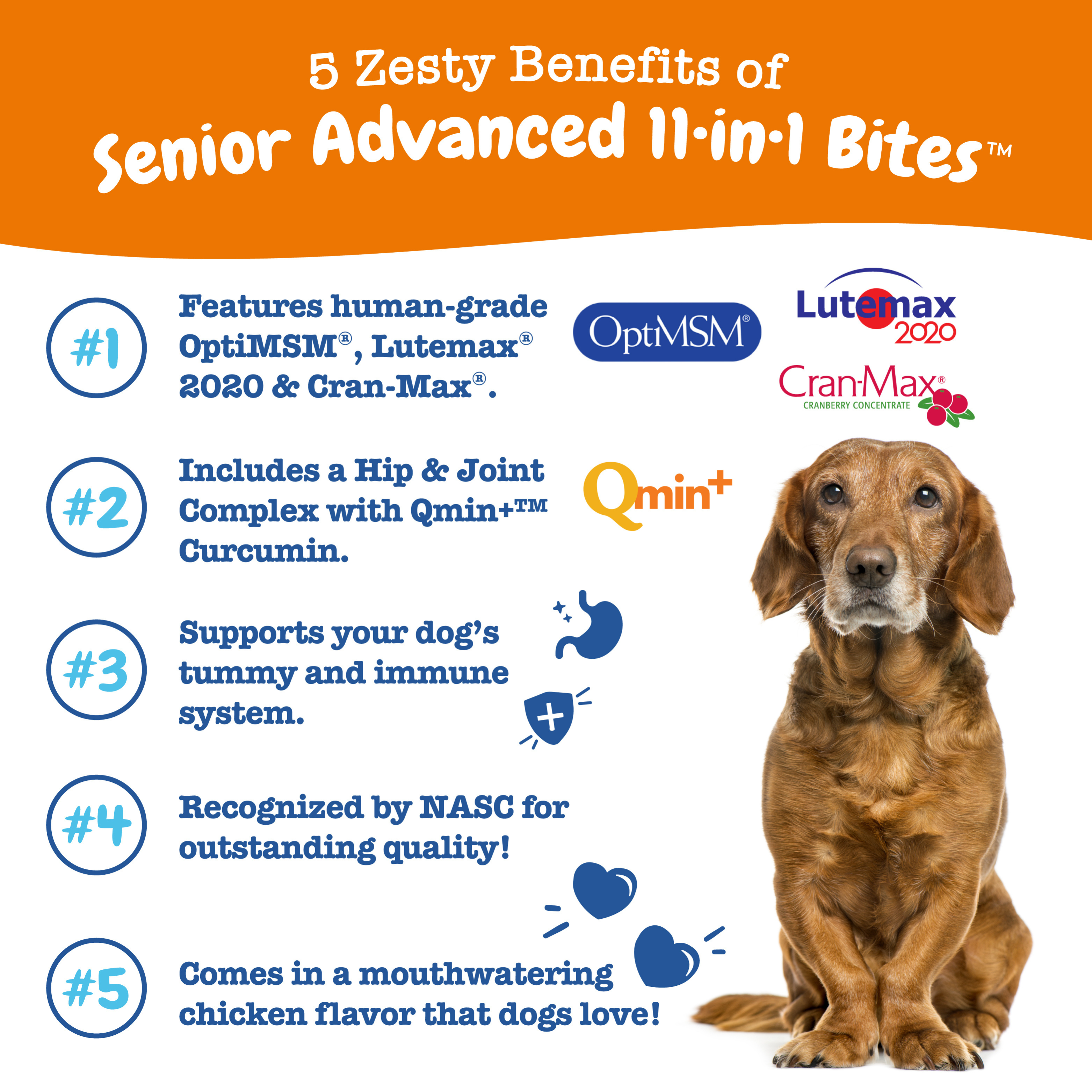 Zesty Paws 90ct Senior Advanced 11-in-1 Multifunctional Bites Supplement for Senior Dogs image 4
