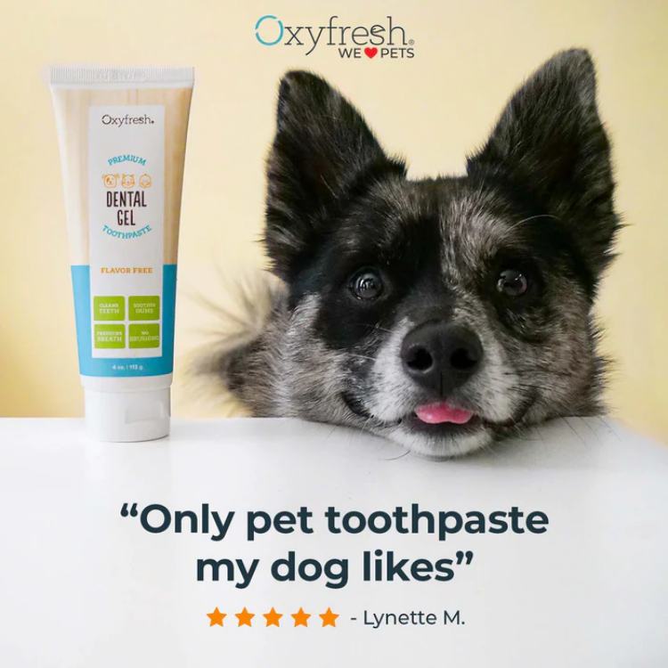 Oxyfresh 28g (1oz) Dental Gel for Dogs & Cats (EXP: 01 Dec 2026) image 5