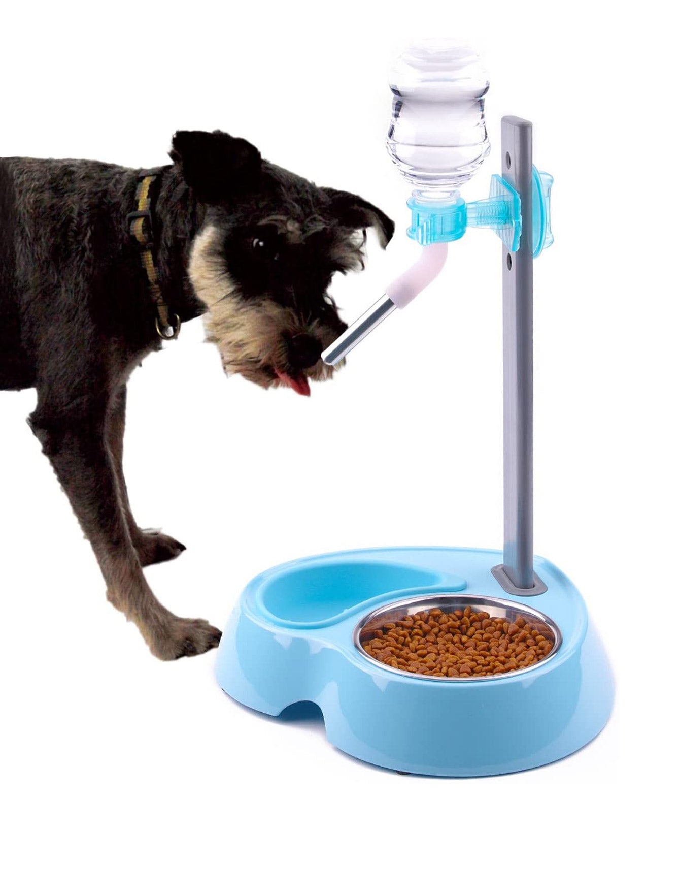 Super Design Light Blue Multifunctional Water Dispenser & Feeder image 5