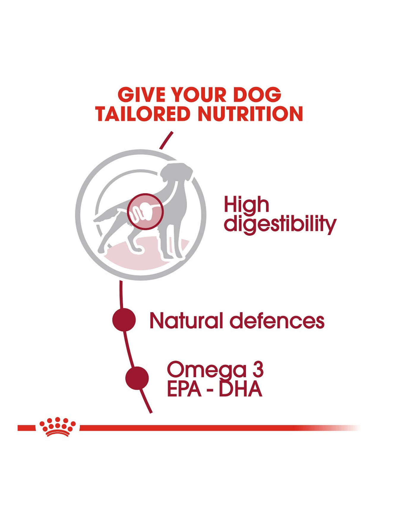 Royal Canin Dog Pouch 140g Medium Adult Wet Dog Food image 4