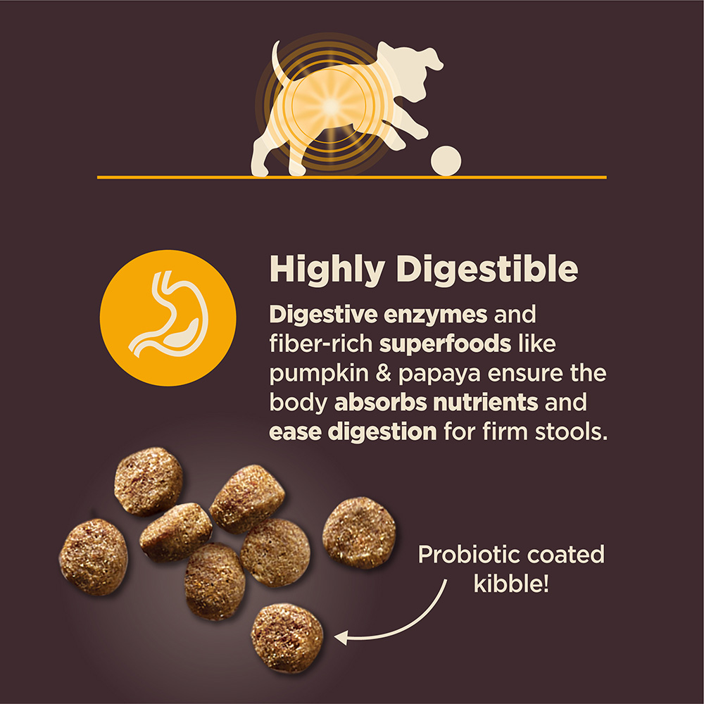 Wellness CORE Dog 1.8kg (4lb) Digestive Puppy Chicken & Brown Rice Dry Dog Food image 3