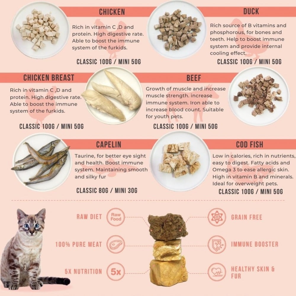 Amelisa Rawly Bites Mini 40g Cod Freeze Dried Treat image 3