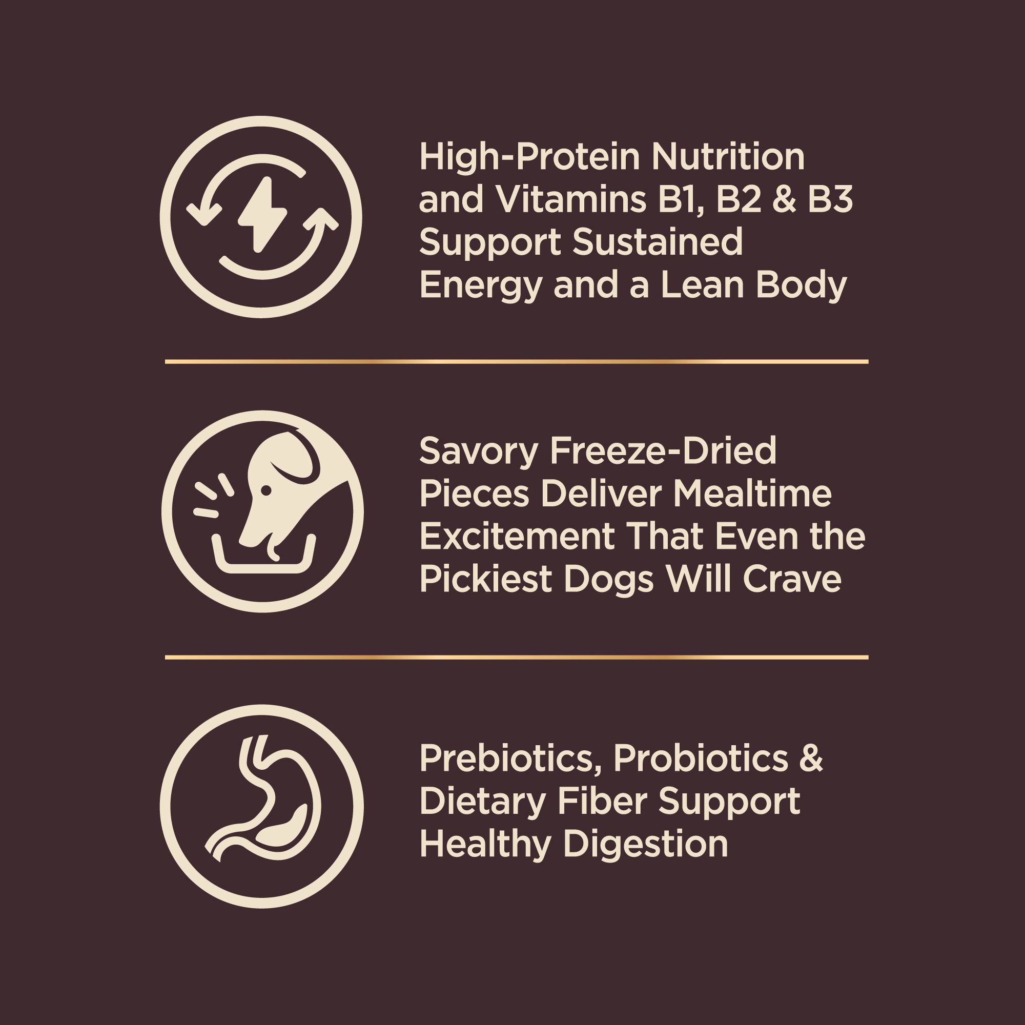 Wellness CORE+ (Formerly RawRev) Dog 4.5kg (10lb) Original with Freeze Dried Turkey Grain Free Dry Dog Food image 3