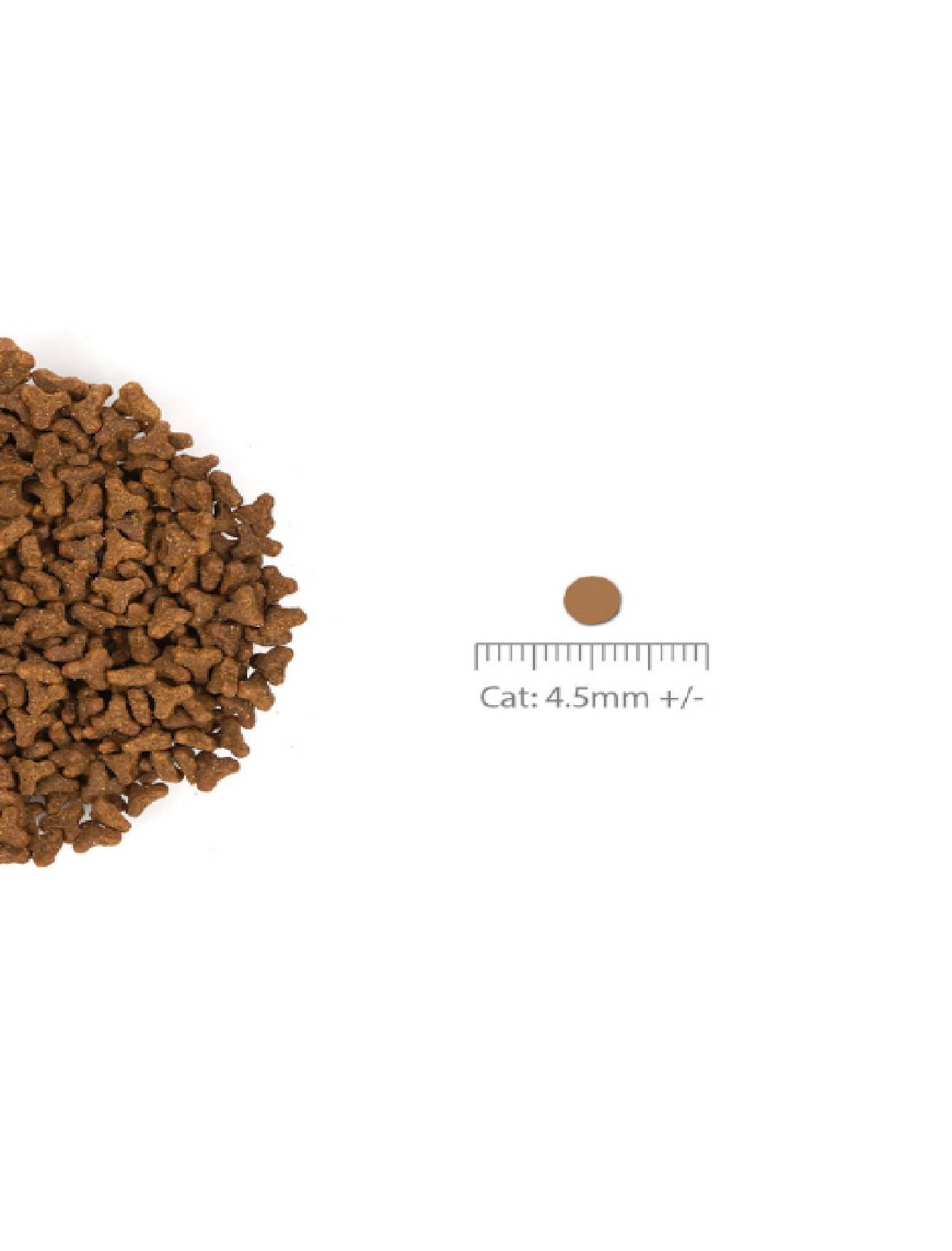 Nurture Pro Cat Nourish Life 1.8kg Slow-Cooked Alaskan Salmon For Indoor Kitten & Adult Cat Dry Cat Food image 3