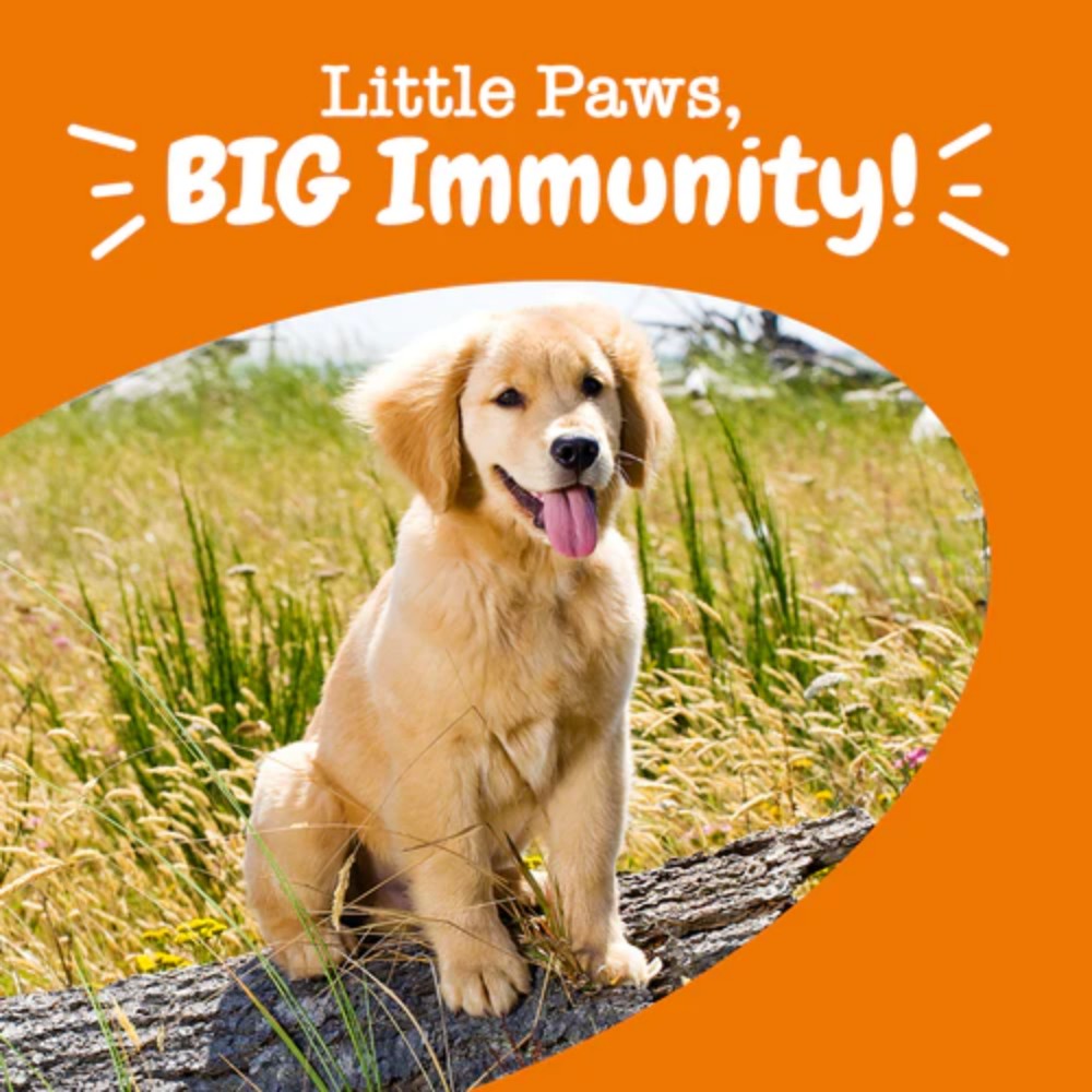 Zesty Paws 90ct Aller Immune Bites for Puppies image 7
