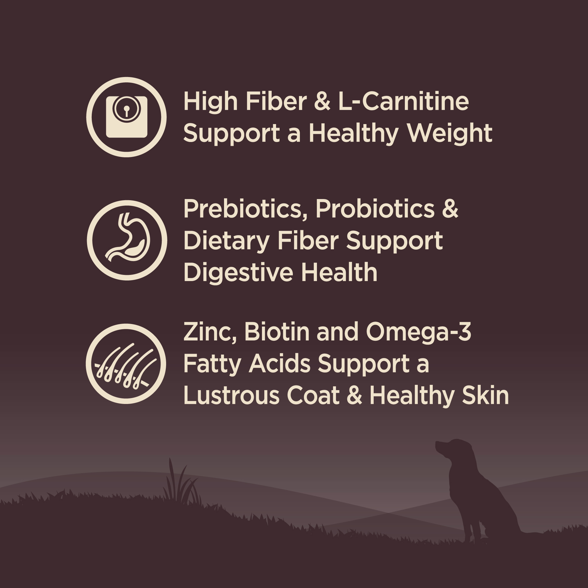 Wellness CORE Dog 1.8kg (4lb) Small Breed Healthy Weight Grain Free Dry Dog Food image 4