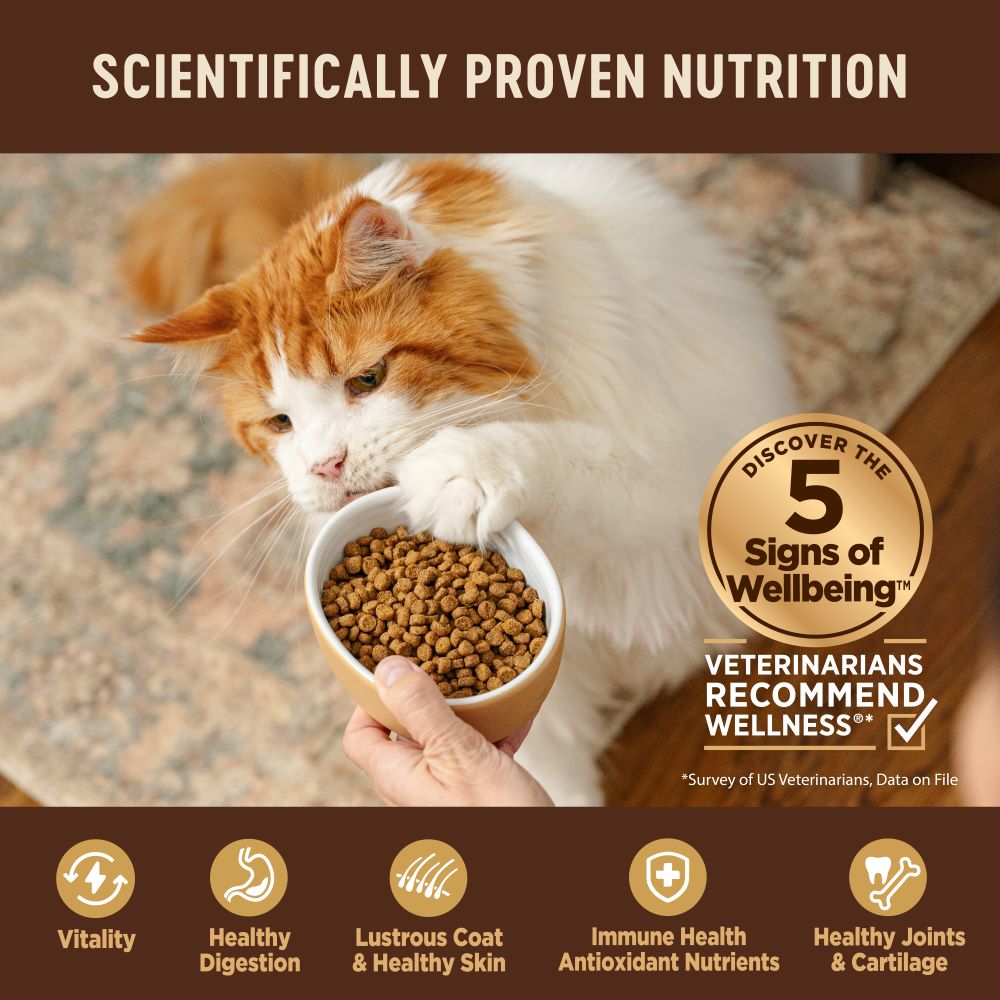 Wellness CORE Cat 2.3kg (5lb) Original Deboned Turkey, Turkey Meal & Chicken Meal Grain Free Dry Cat Food image 2