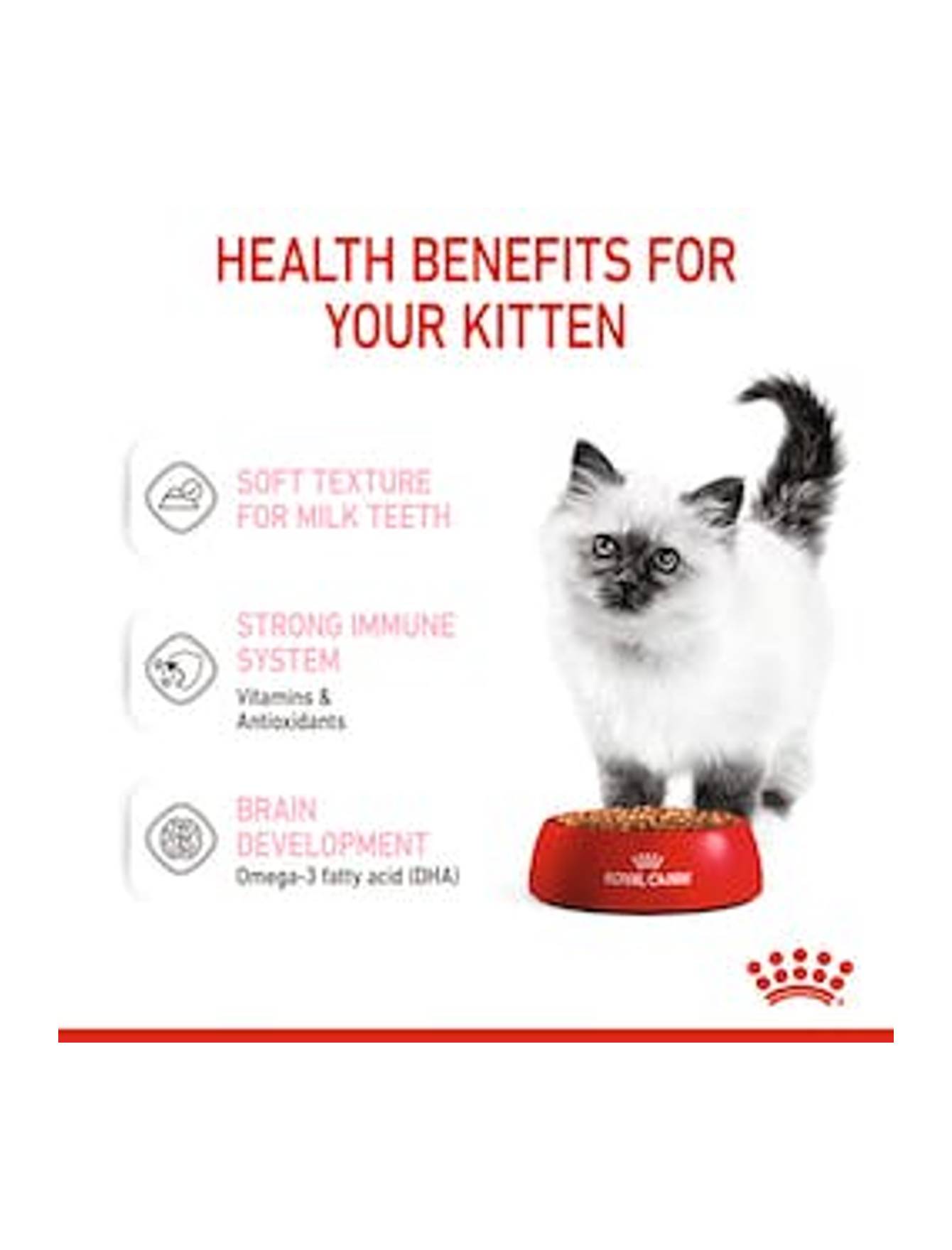 Royal Canin Cat 85g Kitten Gravy Wet Cat Food image 5