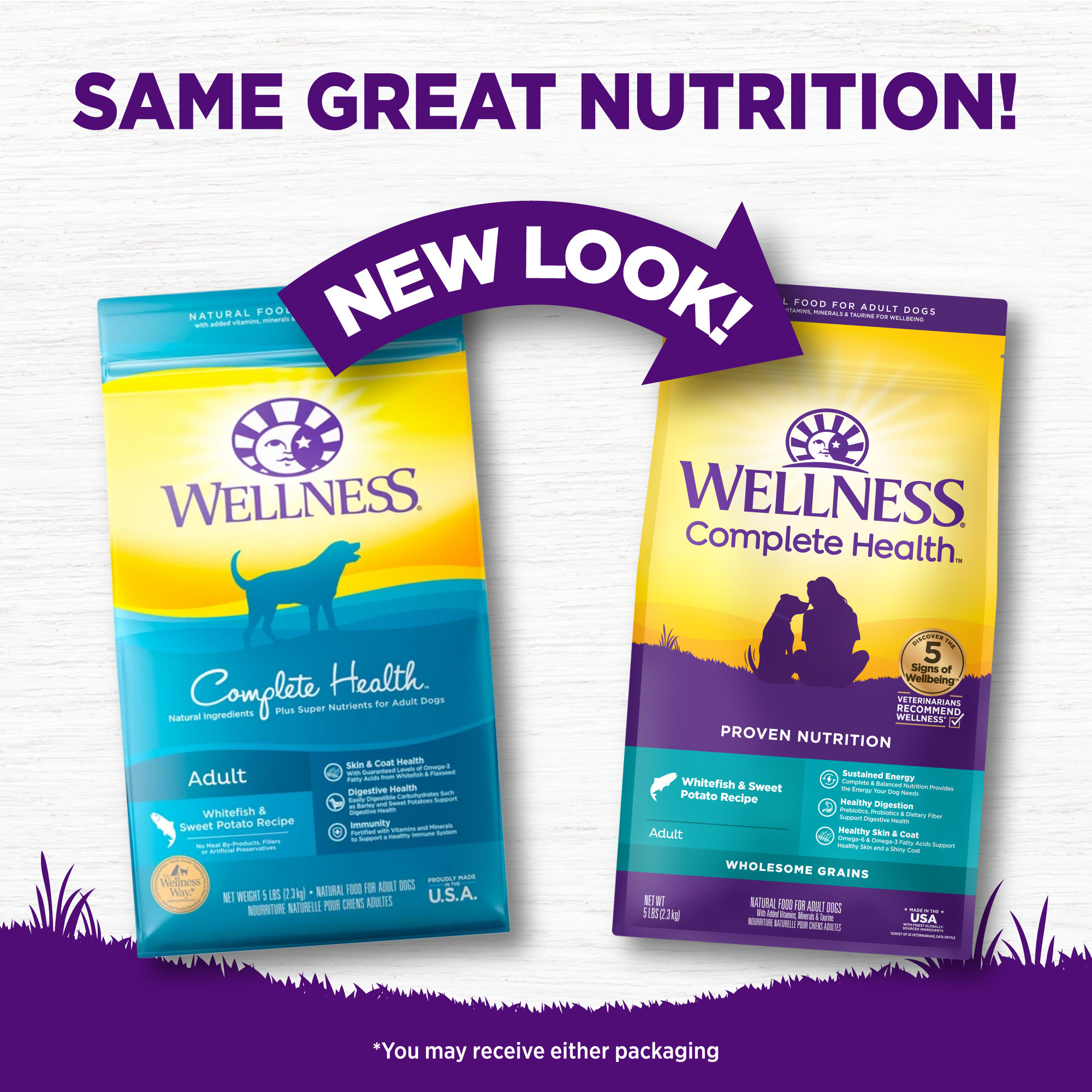 Wellness Complete Health 30lb (13.6kg) Whitefish & Sweet Potato Dry Dog Food image 4