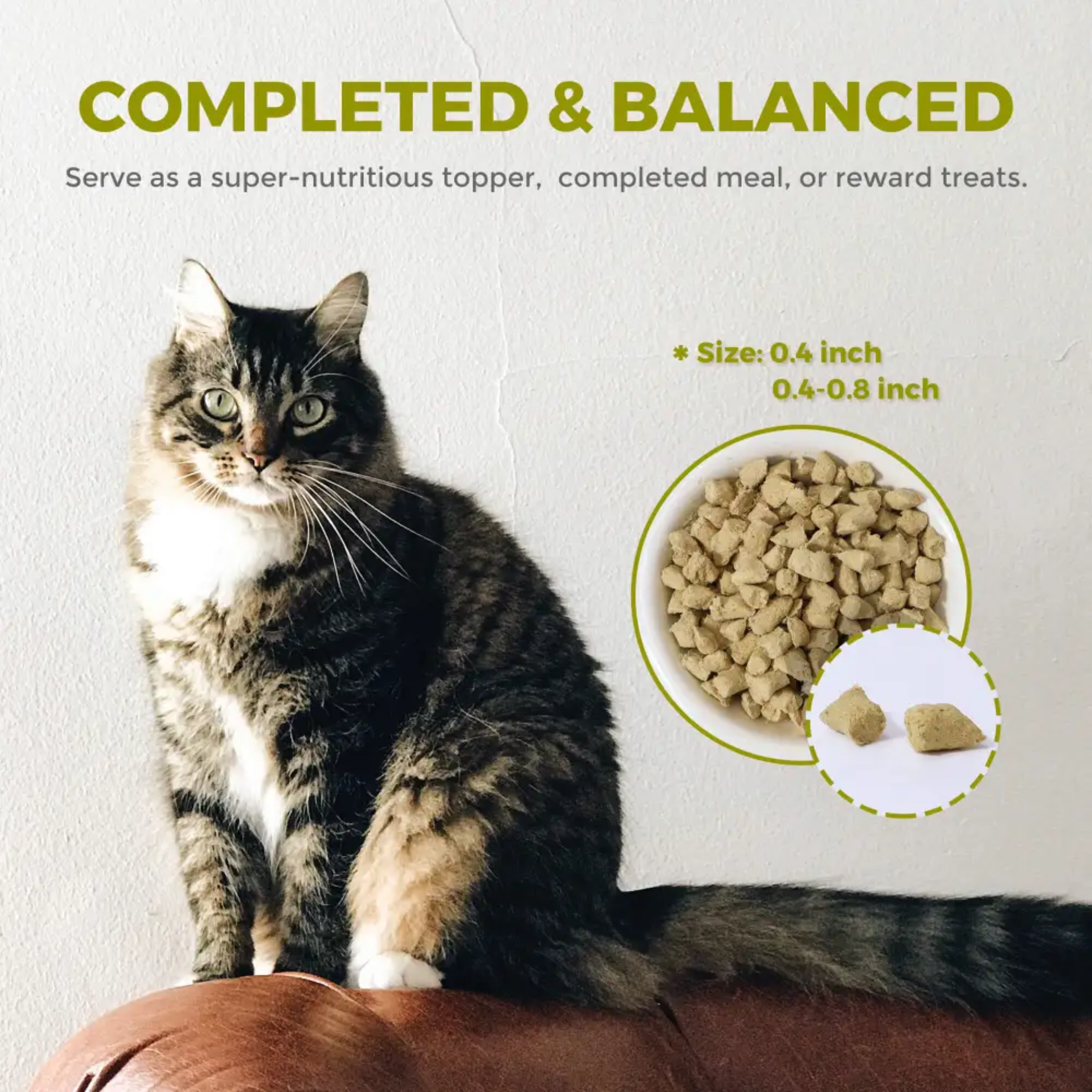 Furry Wonder Sensitive Digestion Freeze-dried Raw Recipe For Cats 50g (trial pack) image 6