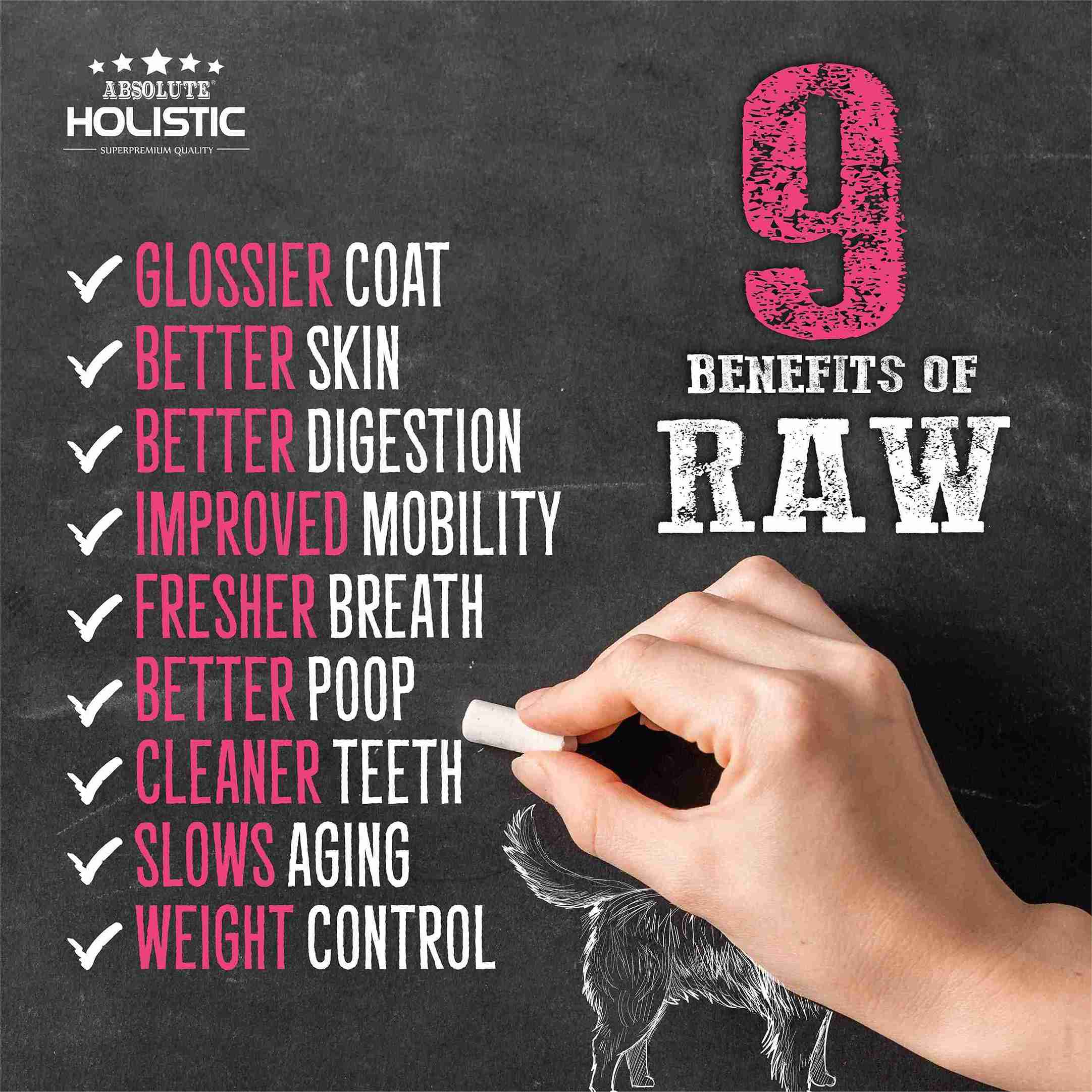 Absolute Holistic Raw in the Bag 14oz Duck Bites Complete Freeze Dried Dog Food (EXP: 12 Apr 2027) image 5