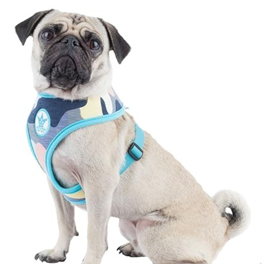 Pinkaholic New York Aqua Delta Harness for Pets S size image 2