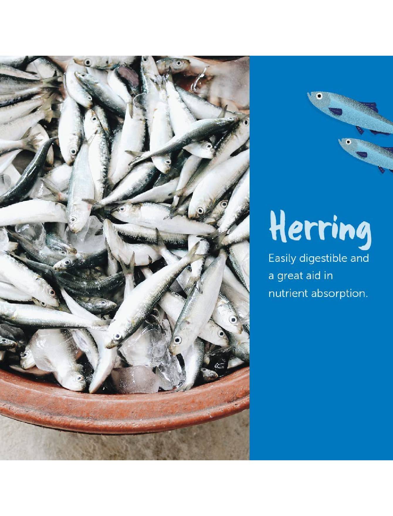 Loveabowl Dog 1.4kg Herring and Salmon Dry Dog Food image 4