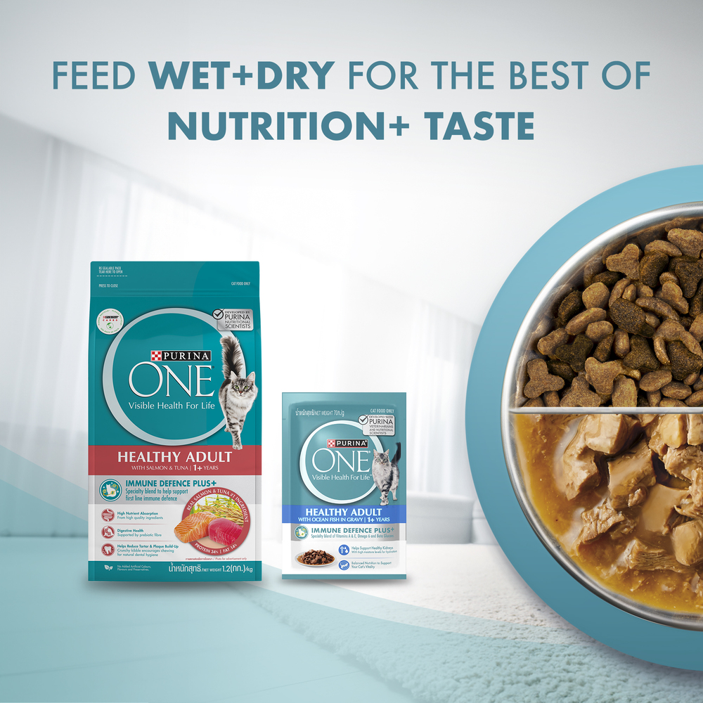 PURINA ONE Cat 380g Healthy Adult Salmon and Tuna Dry Cat Food image 10
