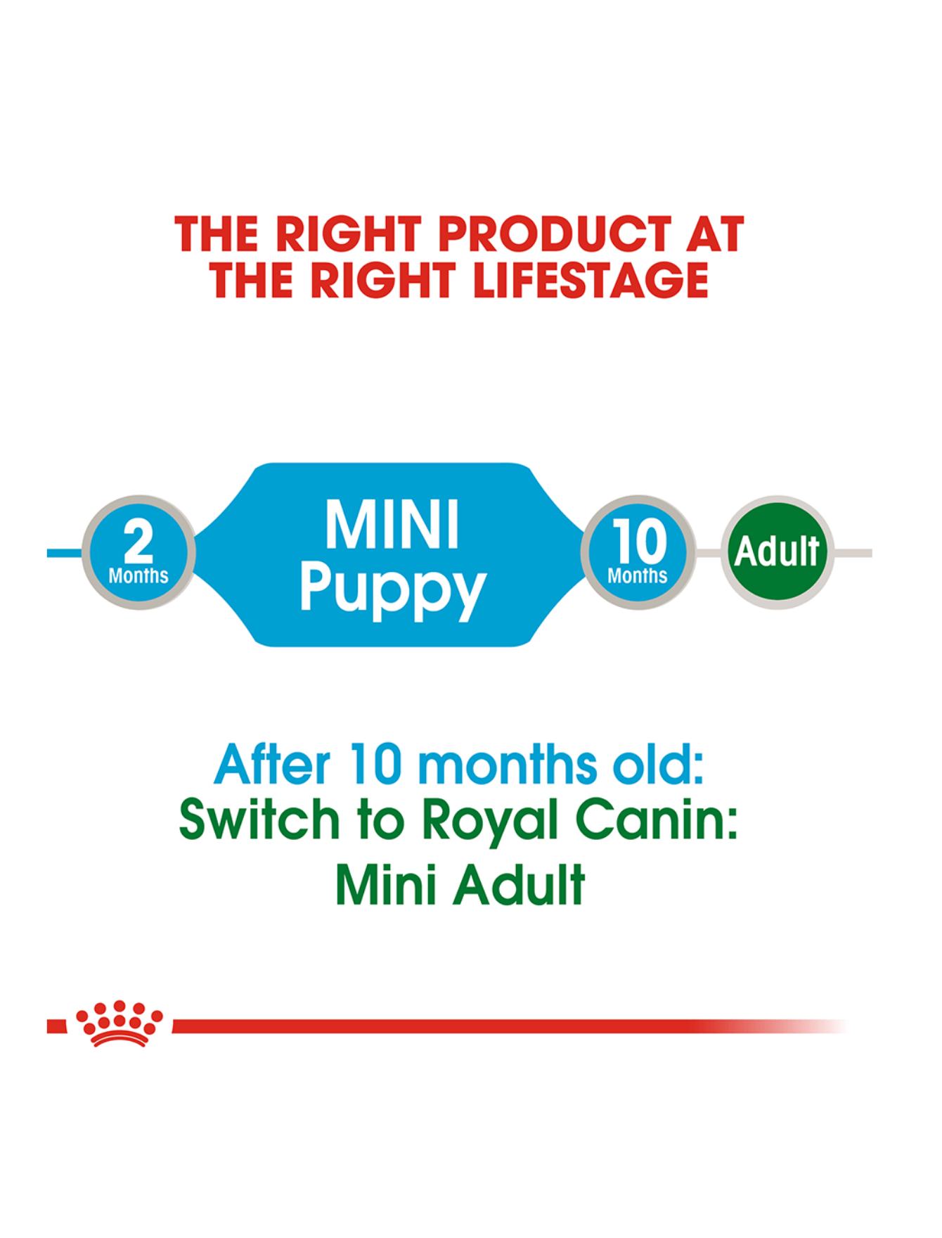 Royal Canin Dog Pouch 85g Mini Puppy Wet Dog Food image 3