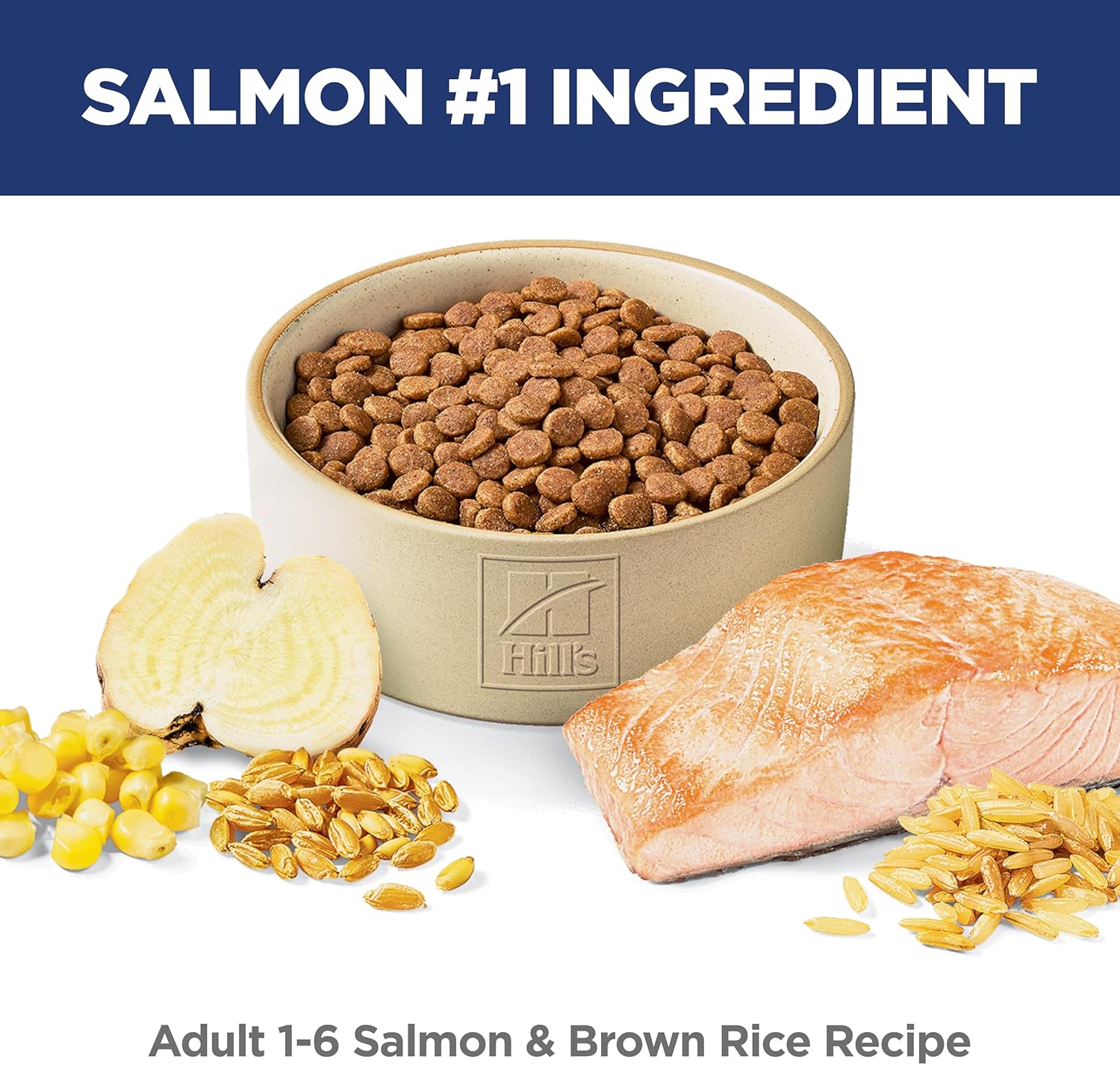 Hill's Science Diet Feline Adult Salmon & Brown Rice Recipe 1.58kg Dry Cat Food image 6