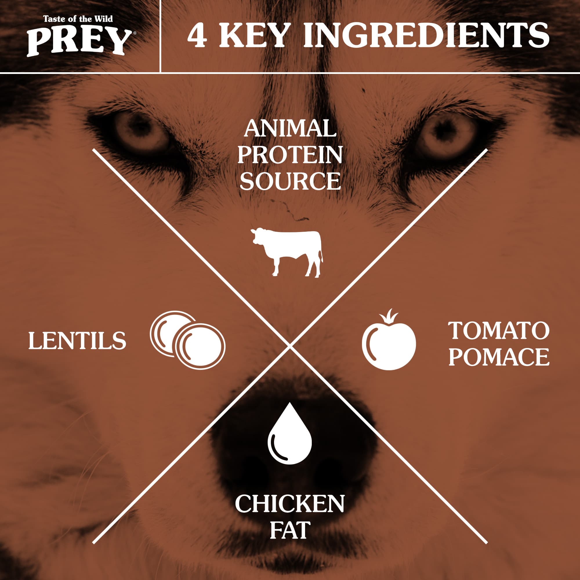 Taste of the Wild Dog 11.3kg/25lbs PREY Recipe Angus Beef Dry Dog Food image 4