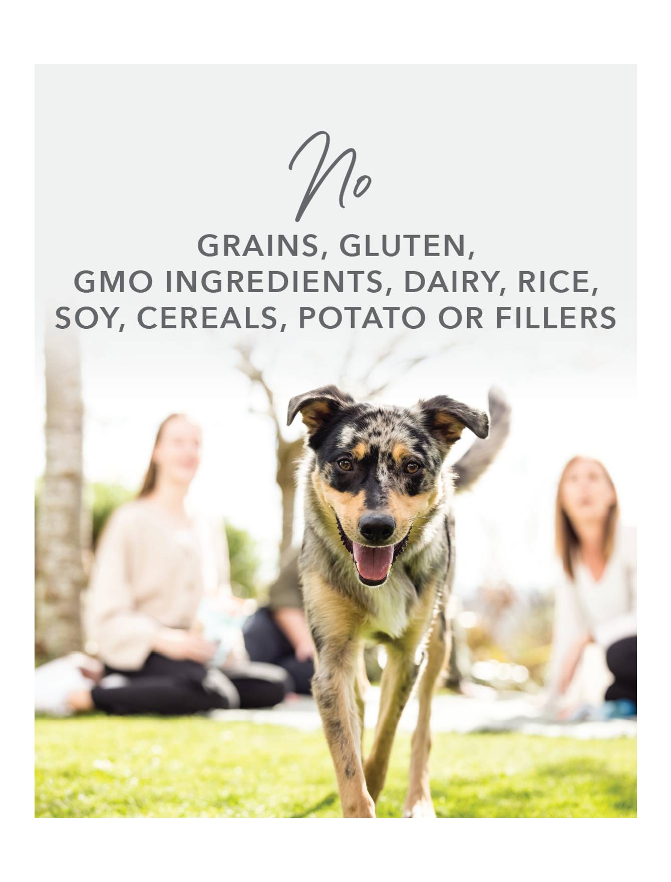 K9 Natural Dog 370g Lamb Feast Canned Wet Dog Food image 4