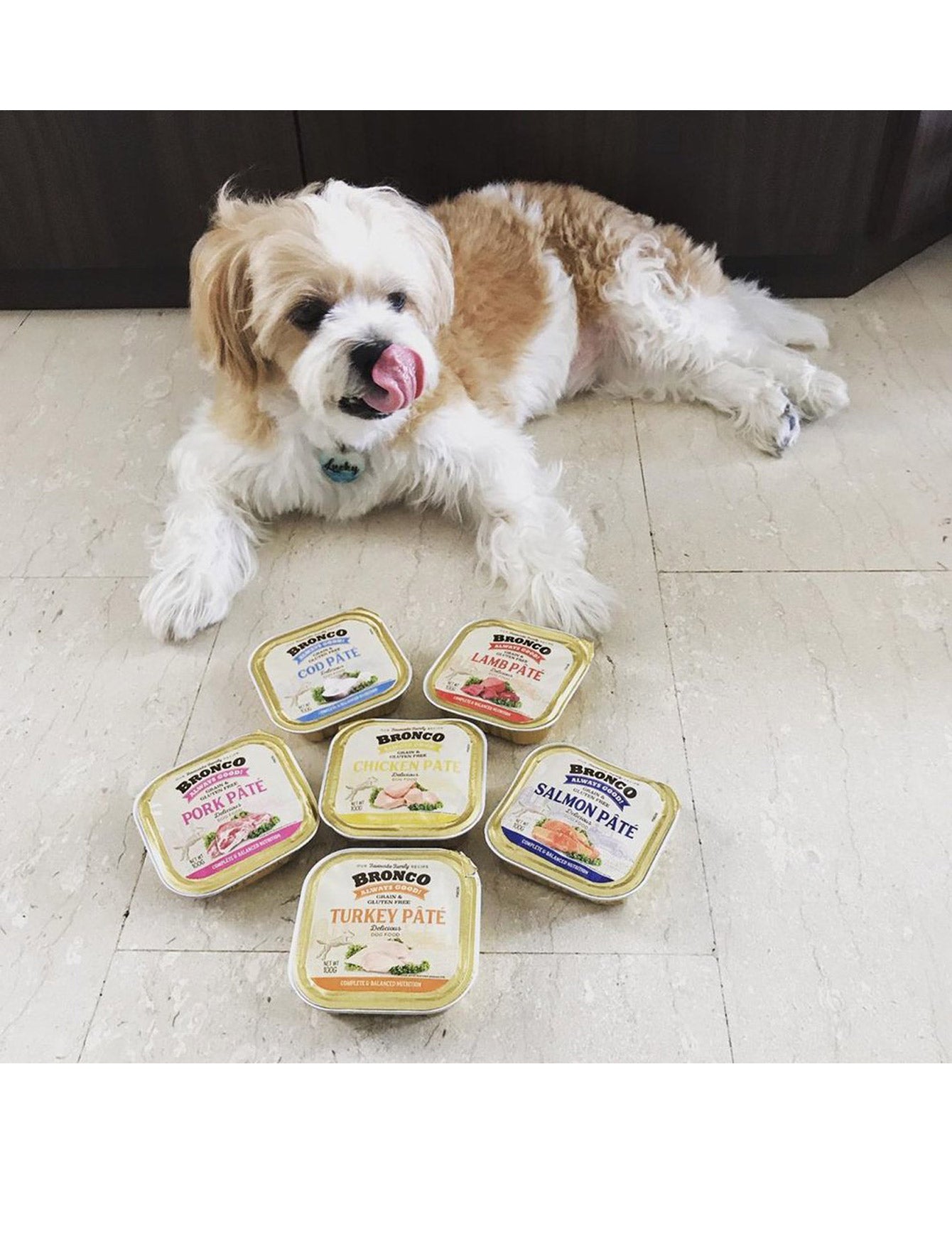 Bronco Dog 100g Chicken Pate Wet Dog Food image 2
