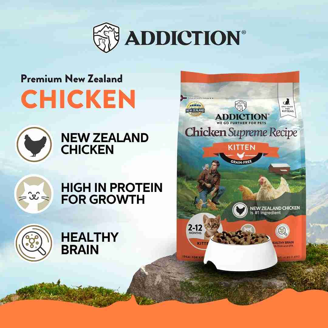 Addiction Cat 1.8kg Chicken Supreme Kitten Complete & Balanced Immune Boost Dry Cat Food image 4