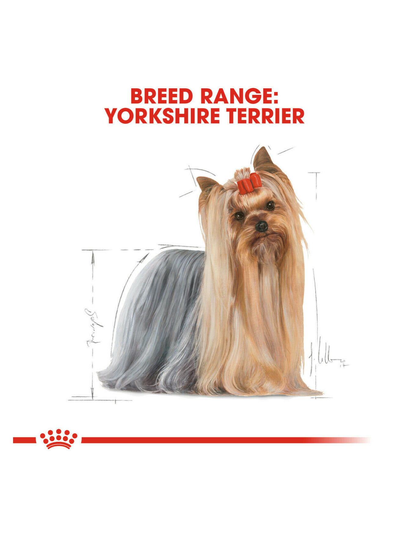 Royal Canin Dog 1.5kg Adult Yorkshire Terrier Dry Dog Food image 4