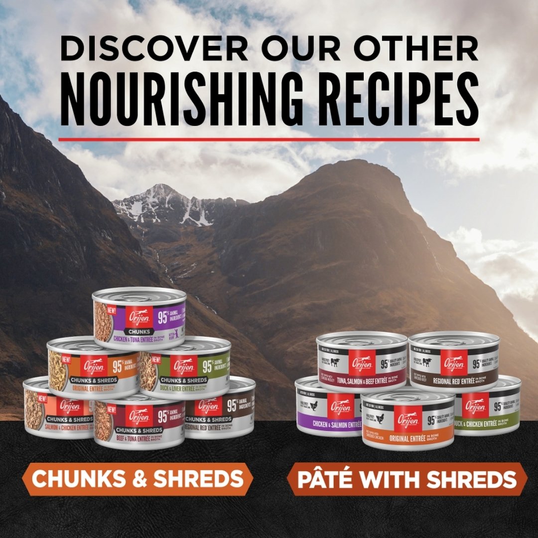 Orijen Cat 85g Chunks & Shreds Original Entree Wet Cat Food image 2
