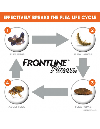 Frontline Plus Dog Spot On Small 0.67mlx3 Pipette image 2
