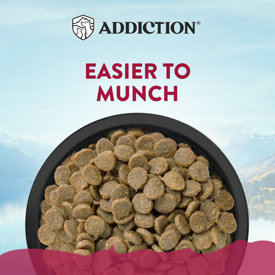 Addiction Dog 1.5kg Small Breed Viva La Venison Dry Dog Food image 5