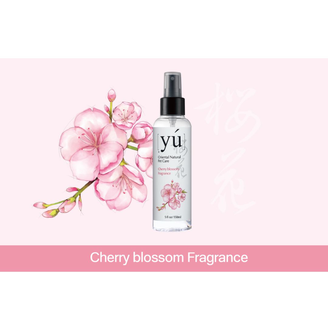 YU 145ml Dry Clean Spray Cherry Blossom Shine Formula Pet Spray image 2