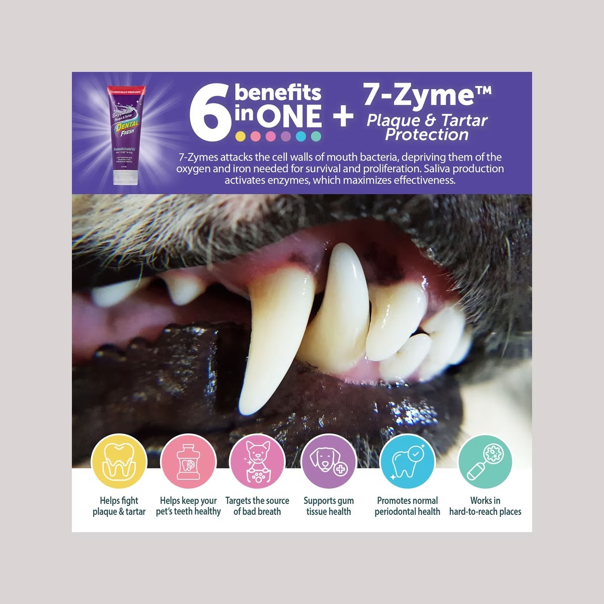 Dental Fresh Enzymatic Plaque & Tartar Dental Gel With Triflex Brush For Dogs & Cats 70g image 3