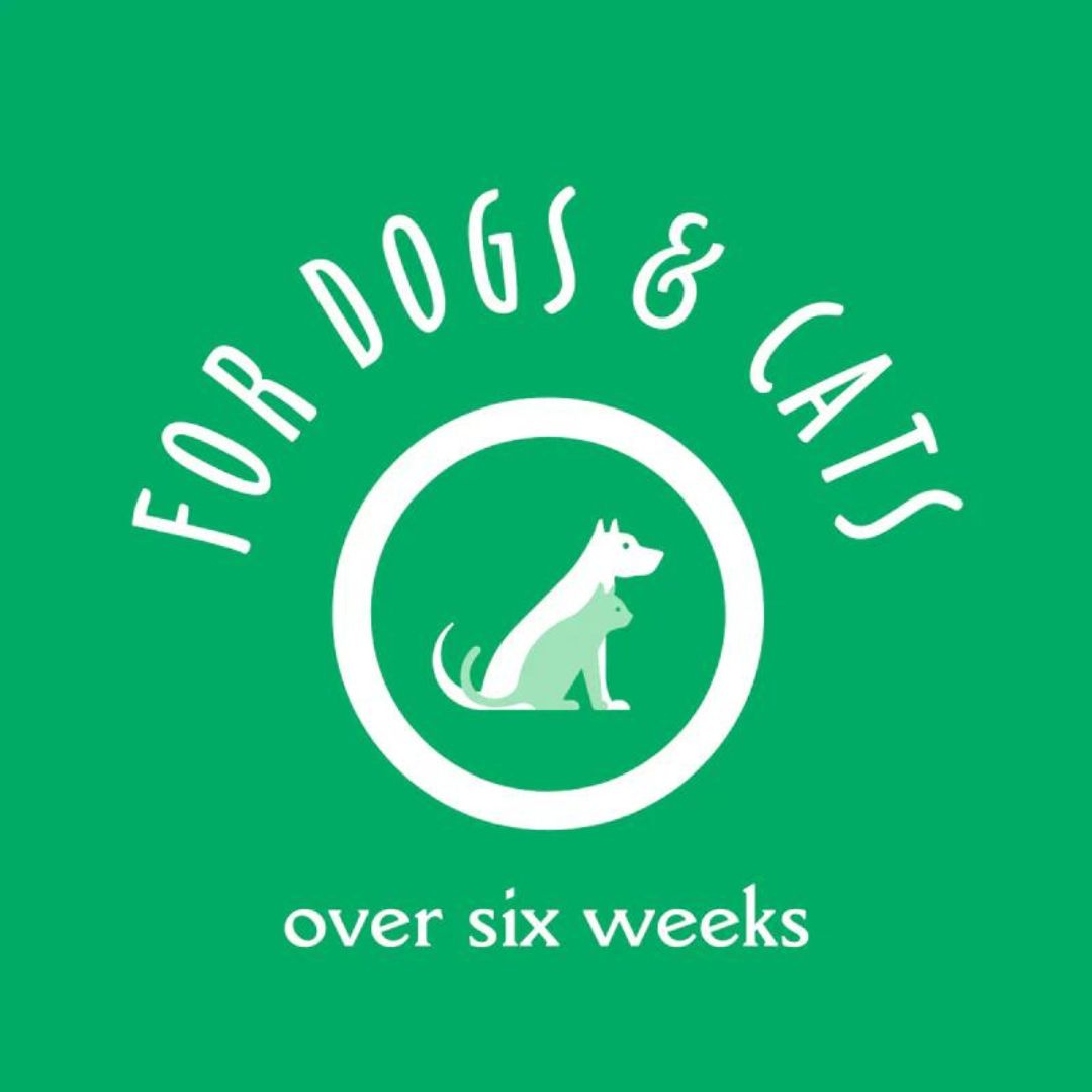 Earthbath 16oz Oatmeal & Aloe (Vanilla & Almond) Pet Shampoo (472ml) image 3