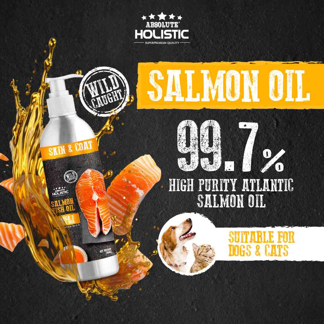 Absolute Holistic 250ml Wild Salmon Fish Oil Natural Pet Supplement for Cats & Dogs image 2