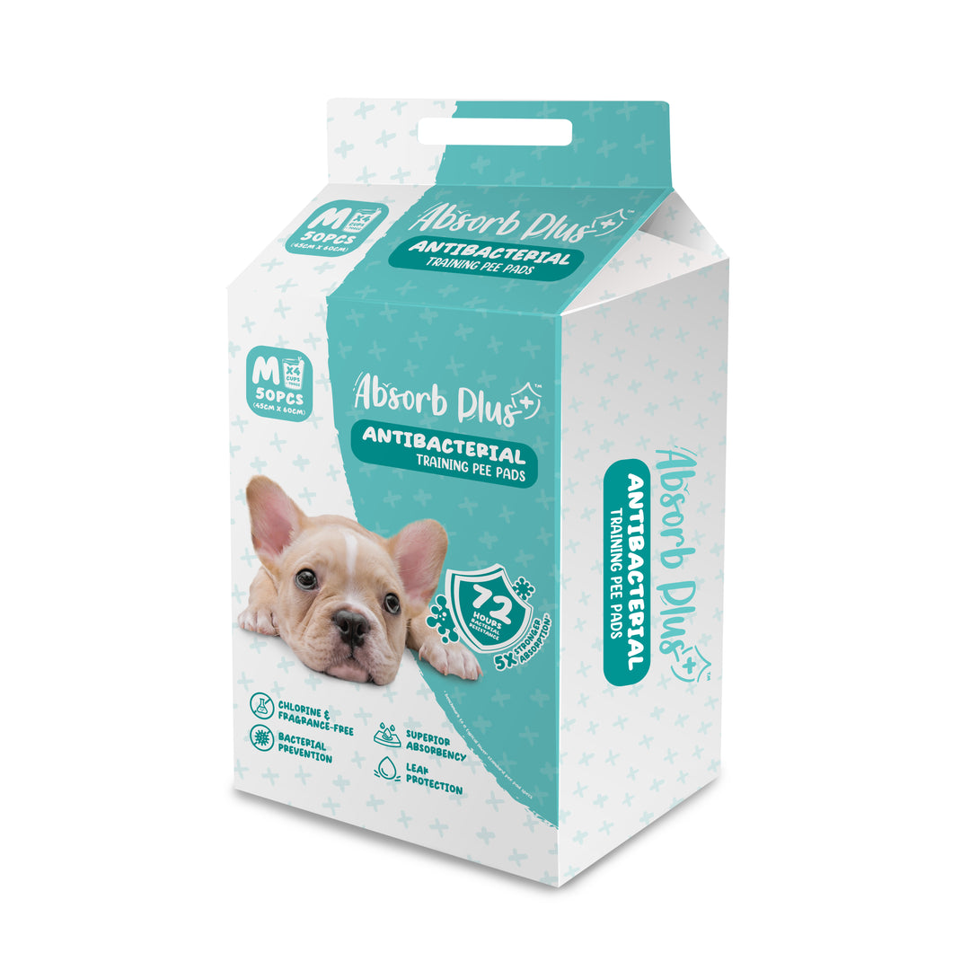 Absorb Plus 50pcs (Medium) 45x60cm Antibacterial Training Pee Pad image 7