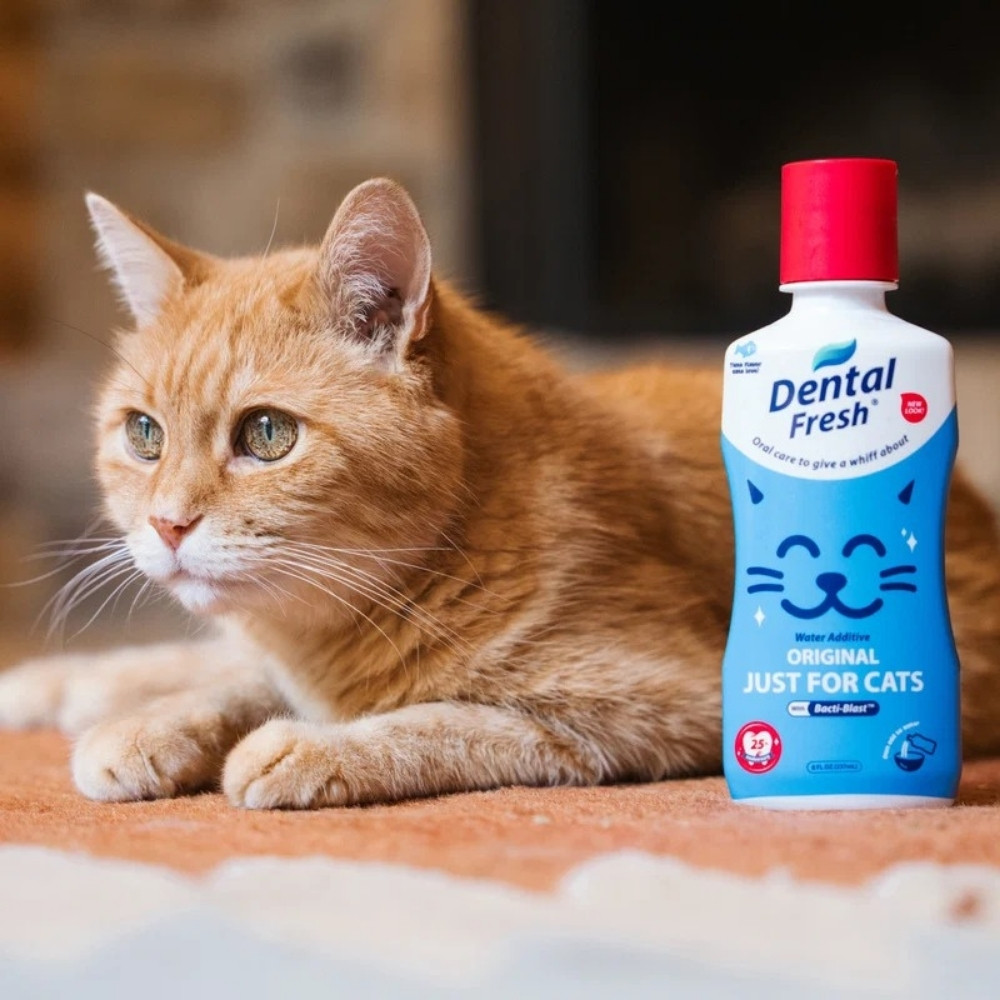 Dental Fresh Water Additive Original Formula For Cats 8oz (237ml) image 3