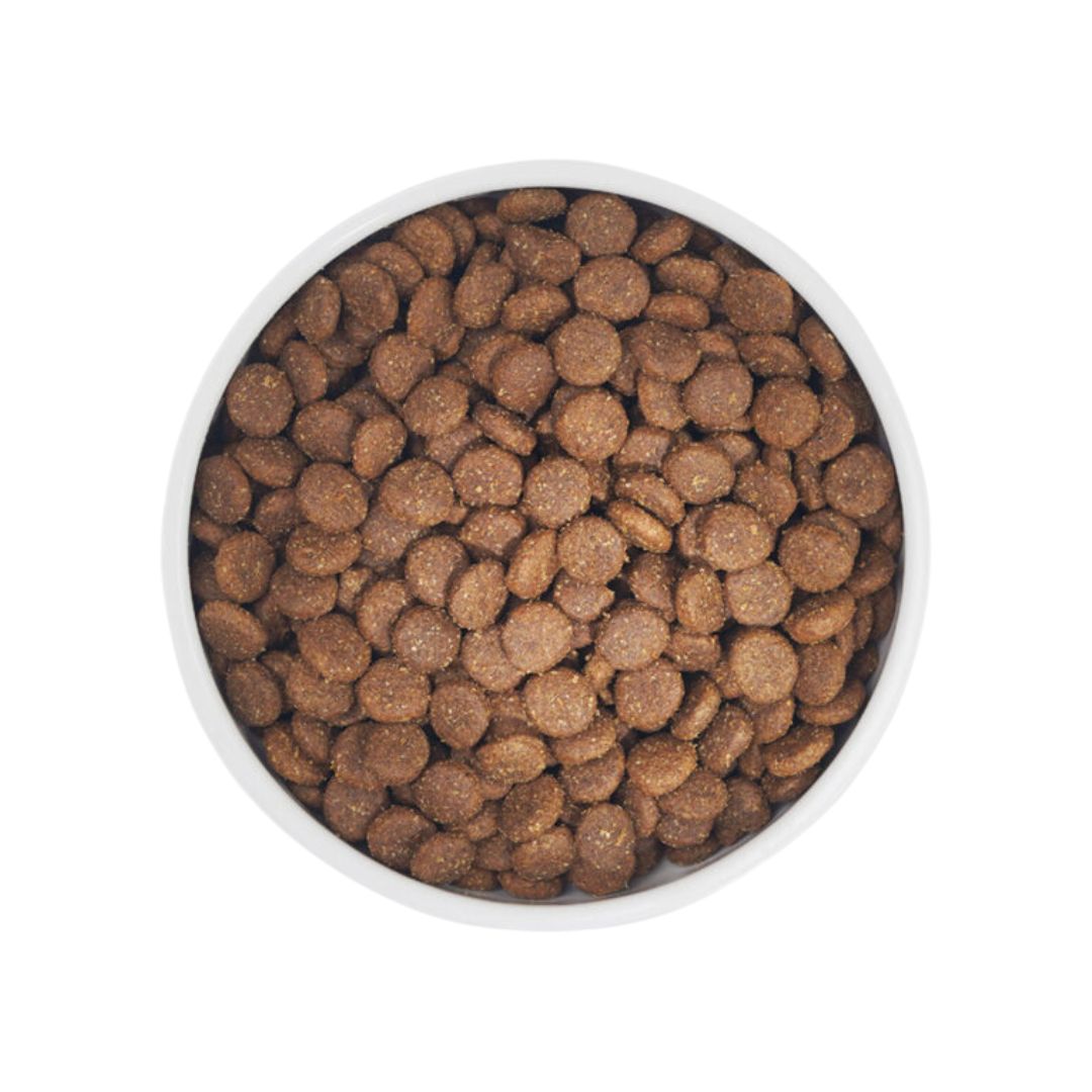 Zignature 1.8kg Duck Formula Dry Dog Food image 4