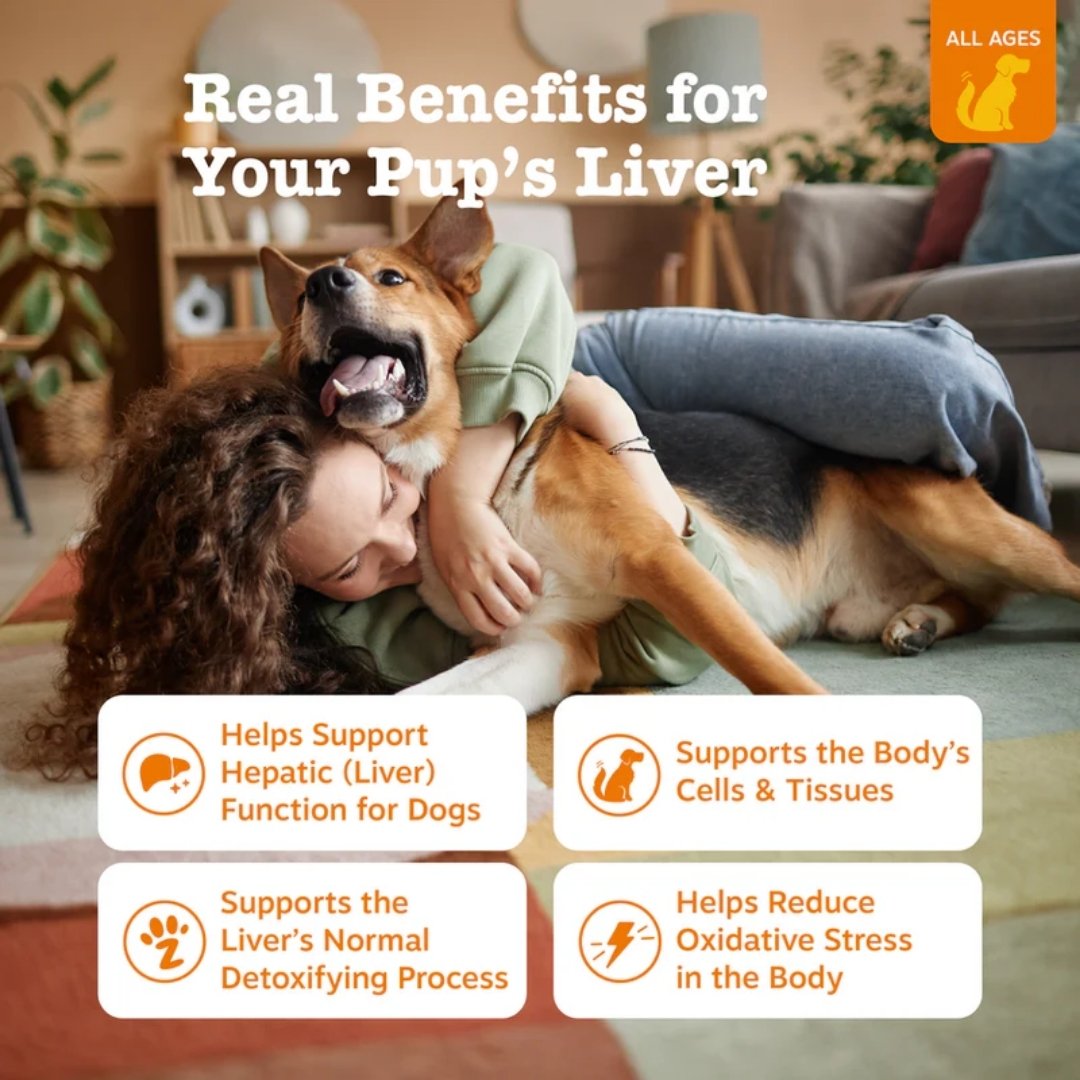 Zesty Paws 90ct Liver Support Bites Chicken Supplement For Dog image 2