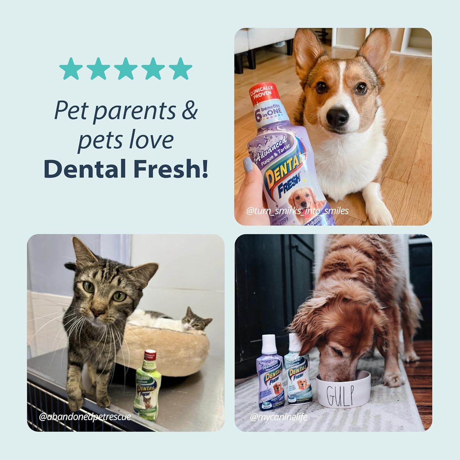 Dental Fresh Water Additive Original Formula For Dogs 236ml image 6