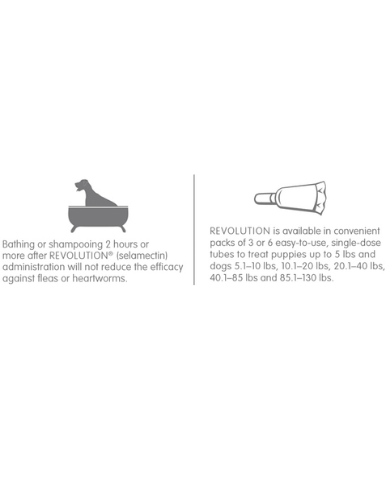 Revolution Selamactic Topical Solution for 0-2.5kg Puppies & Kittens 3 Single Dose Tubes image 8